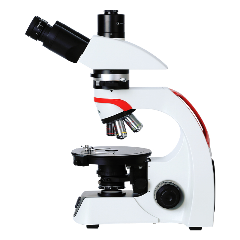 Polarizing Microscope